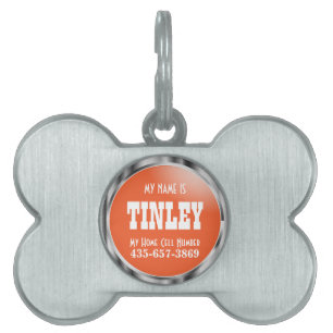 Silver and Orange   DIY Name Pet Tag