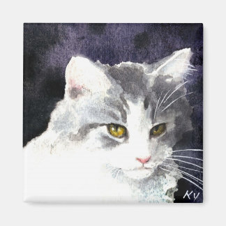 Silver and white kitten magnet