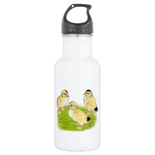 Silver Appleyard Ducklings 532 Ml Water Bottle