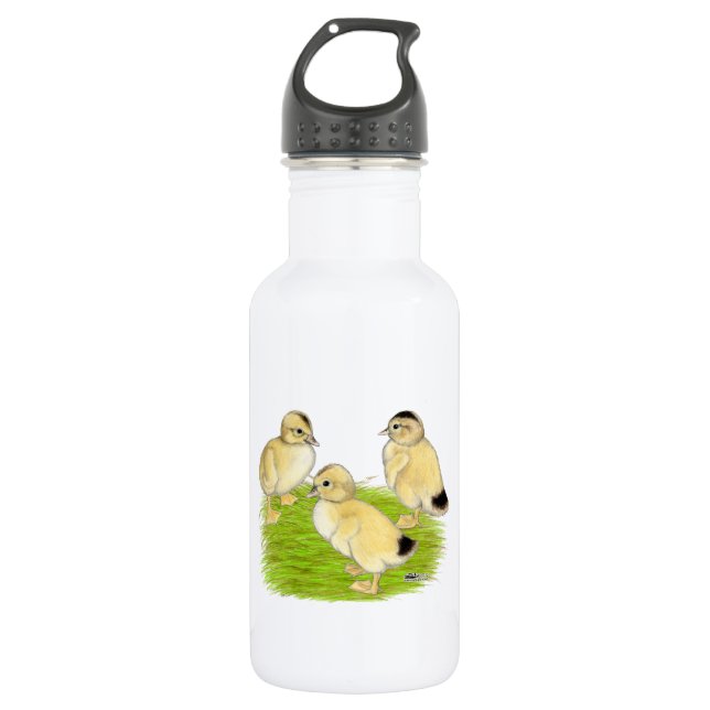 Silver Appleyard Ducklings 532 Ml Water Bottle (Front)