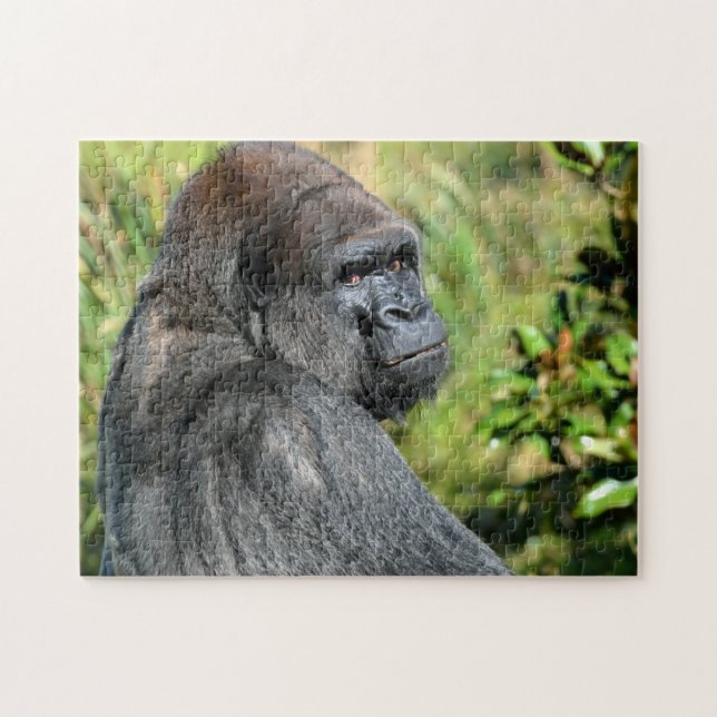 Silver Back Gorilla Jigsaw Puzzle (Horizontal)