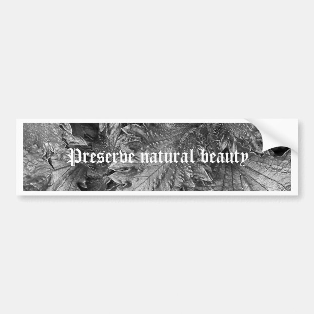 Silver Beauty Bumper Sticker (Front)