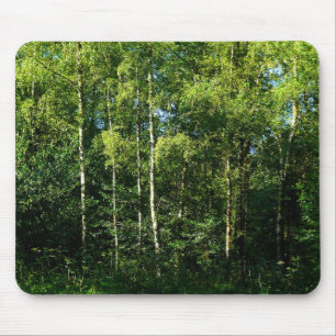 Silver Birch Mouse Mat