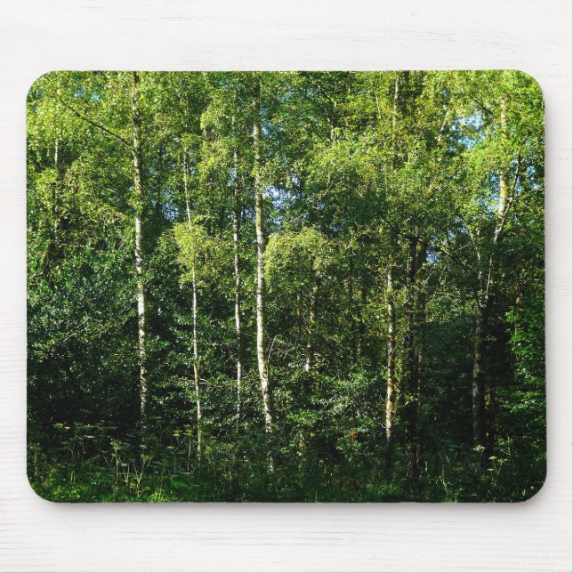 Silver Birch Mouse Mat (Front)