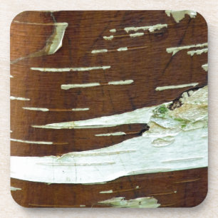 Silver Birch Natural Tree Bark Coaster