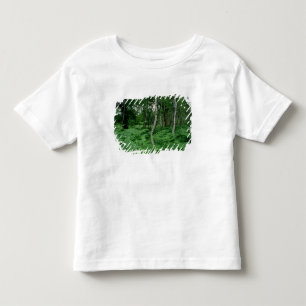 Silver birch trees and ferns, Sherwood Forest Toddler T-Shirt