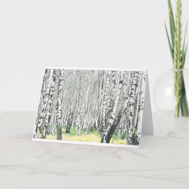 Silver Birch Wood - Blank Greetings Card (Front)