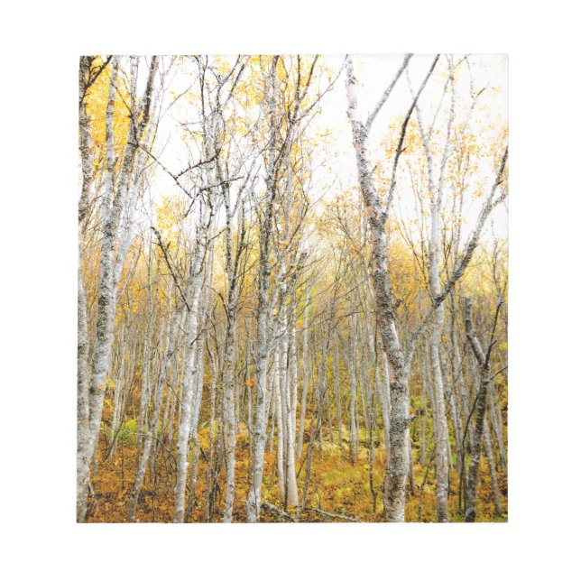 Silver Birches Notepad (Front)