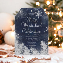 Silver blue snowflake corporate winter wonderland