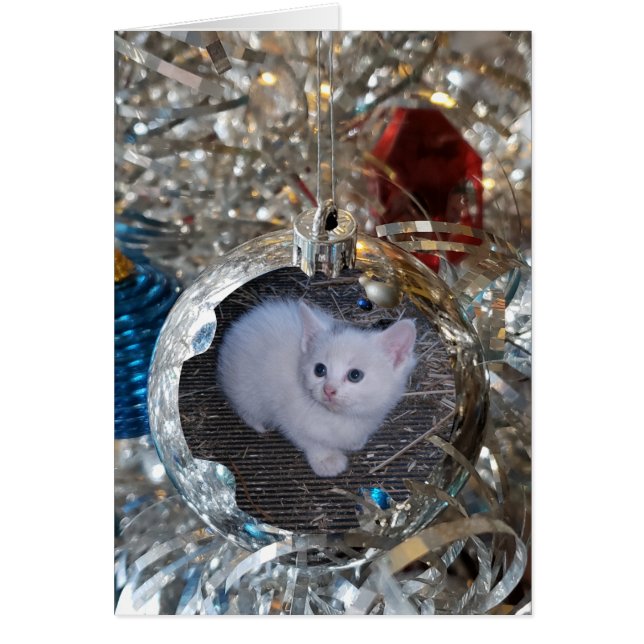 Silver Bulb Full Frame (Front)