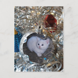 Silver Bulb Full Frame Postcard
