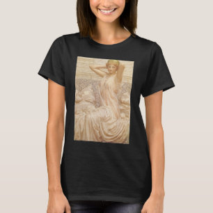 Silver by Albert Joseph Moore, Victorian Fine Art T-Shirt