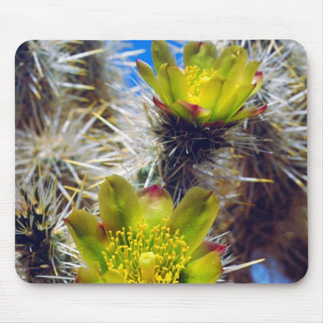 Silver Cholla Cactus Wildflowers Mouse Mat (Front)