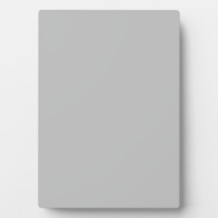 Silver Contemporary Coloured Plaque
