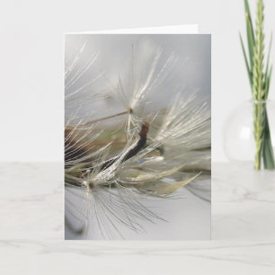 Silver Dandelion Poof Shimmers in Sun Card