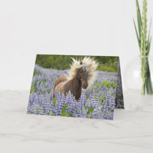 Silver Dapple in the Lupine Horse Greeting Card