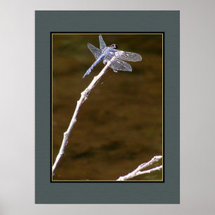 Silver Dragonfly Poster