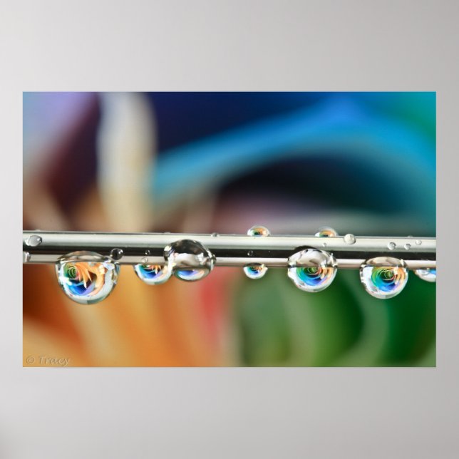 Silver Drops Poster (Front)