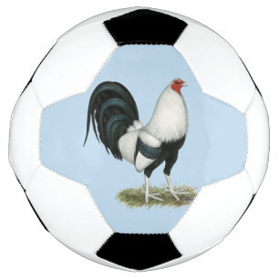 Silver Duckwing Gamecock Football