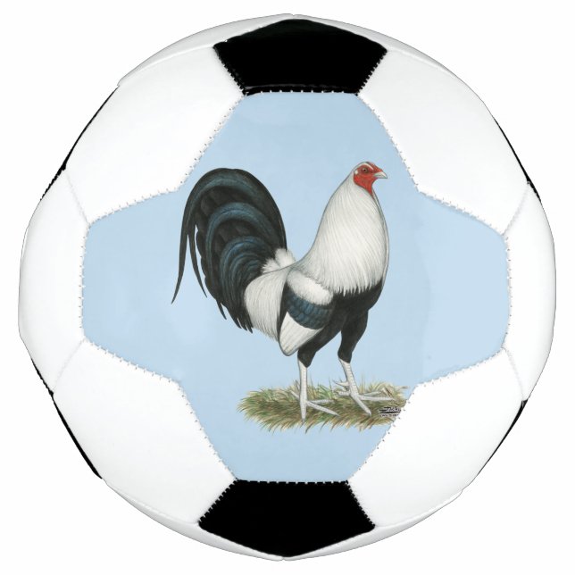 Silver Duckwing Gamecock Football (Front)