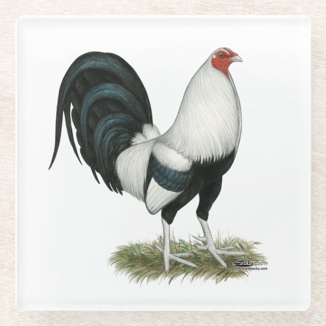 Silver Duckwing Gamecock Glass Coaster (Front)