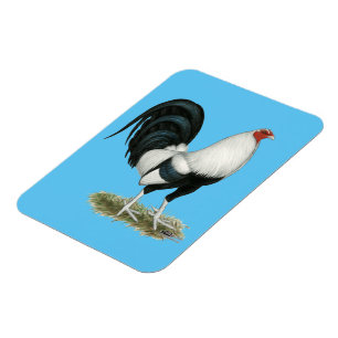 Silver Duckwing Gamecock Magnet
