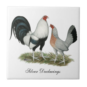 Silver Duckwing Gamefowl Tile