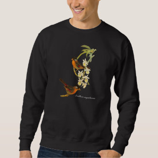 Silver-eared Mesia (Leiothrix argentauris) Sweatshirt