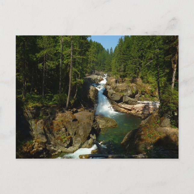 Silver Falls at Mount Rainier National Park Postcard (Front)