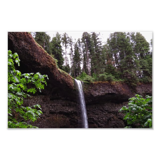 Silver Falls State Park  Photo Print (Front)