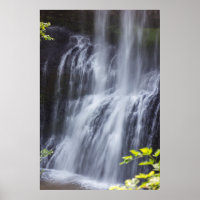 Silver Falls Willamette Valley Oregon Middle Falls