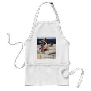 Silver Favourites by Lawrence Alma-Tadema Standard Apron