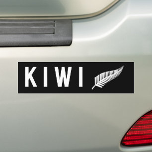 Silver fern flag (NZ) Bumper Sticker