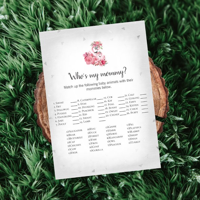 Silver Flamingo Ballerina Who's My Mummy Baby Game Invitation (Creator Uploaded)