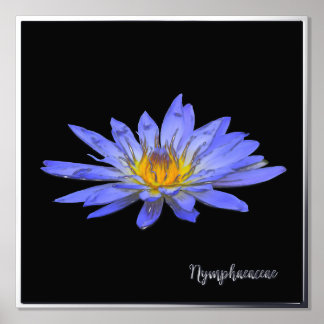 Silver Foil Accent Blue Water Lily Print Poster