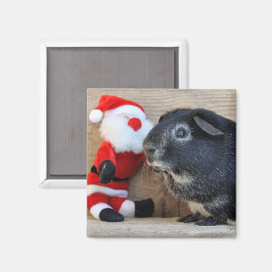 Silver Fox Guinea Pig and Santa Claus Magnet
