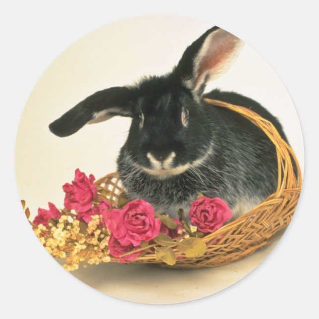 Silver fox rabbit named Boris flowers Classic Round Sticker (Front)