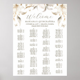 Silver & Gold Elegant Winter Quinceañera Poster