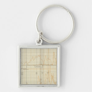 Silver, gold, minor coinage key ring