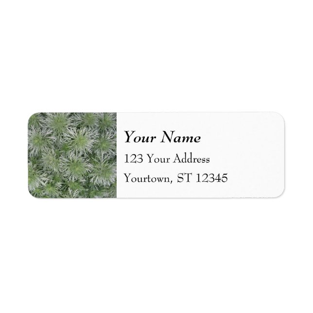 Silver Green Foliage Pattern (Front)