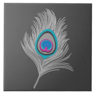 Silver Grey / Grey Peacock Feather on Graphite Tile