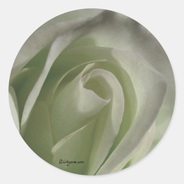 Silver Grey Rose Wedding Envelope Sticker (Front)