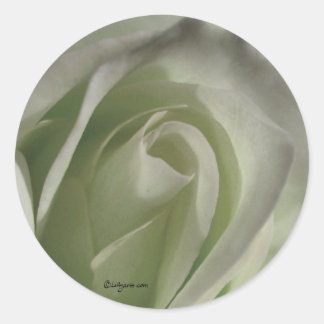 Silver Grey Rose Wedding Envelope Sticker