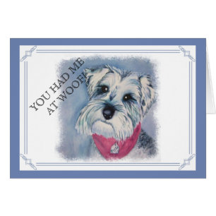 SILVER GREY SWEET SCHNAUZER