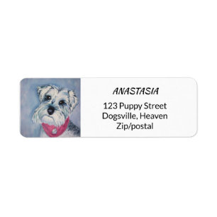 SILVER GREY SWEET SCHNAUZER