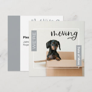 Silver Grey We're Moving Dachshund Dog in Box Card