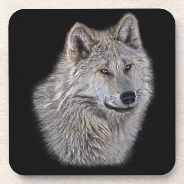 Silver Grey Wolf Wildlife Portrait Coaster (Front)