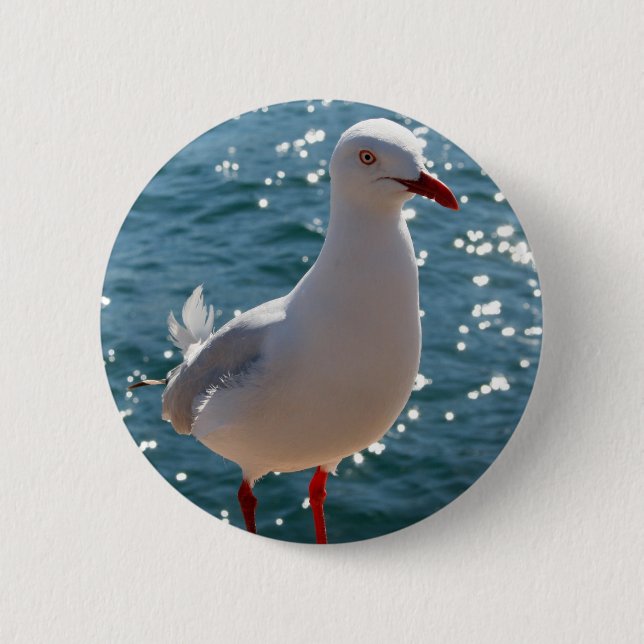 Silver Gull 6 Cm Round Badge (Front)