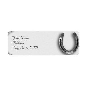 Silver Horseshoe on White