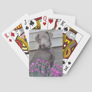 Silver Labradors Playing Cards